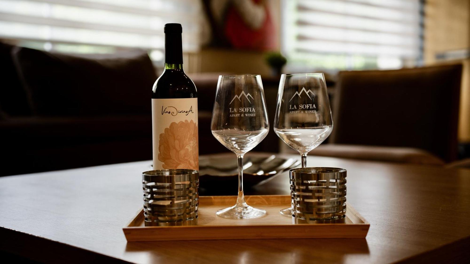 La Sofia Apart & Wines Mendoza Eksteriør billede
